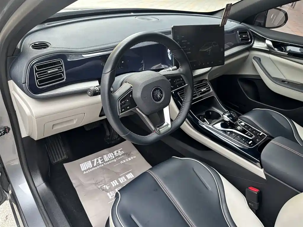 BYD Qin PLUS 2021 DM-i 55KM Flagship фото 14