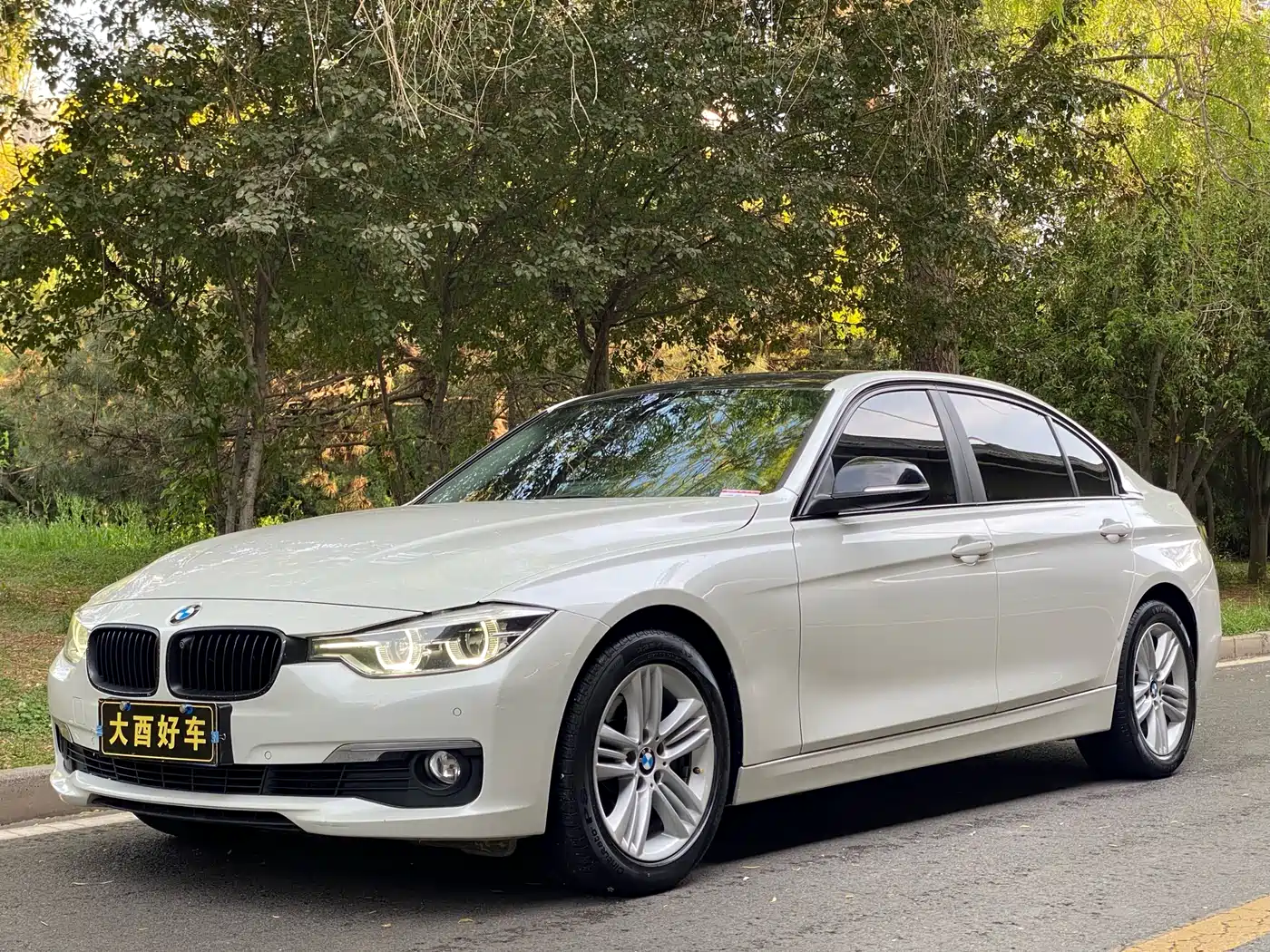 BMW 3 Series 2016 320Li Progressive