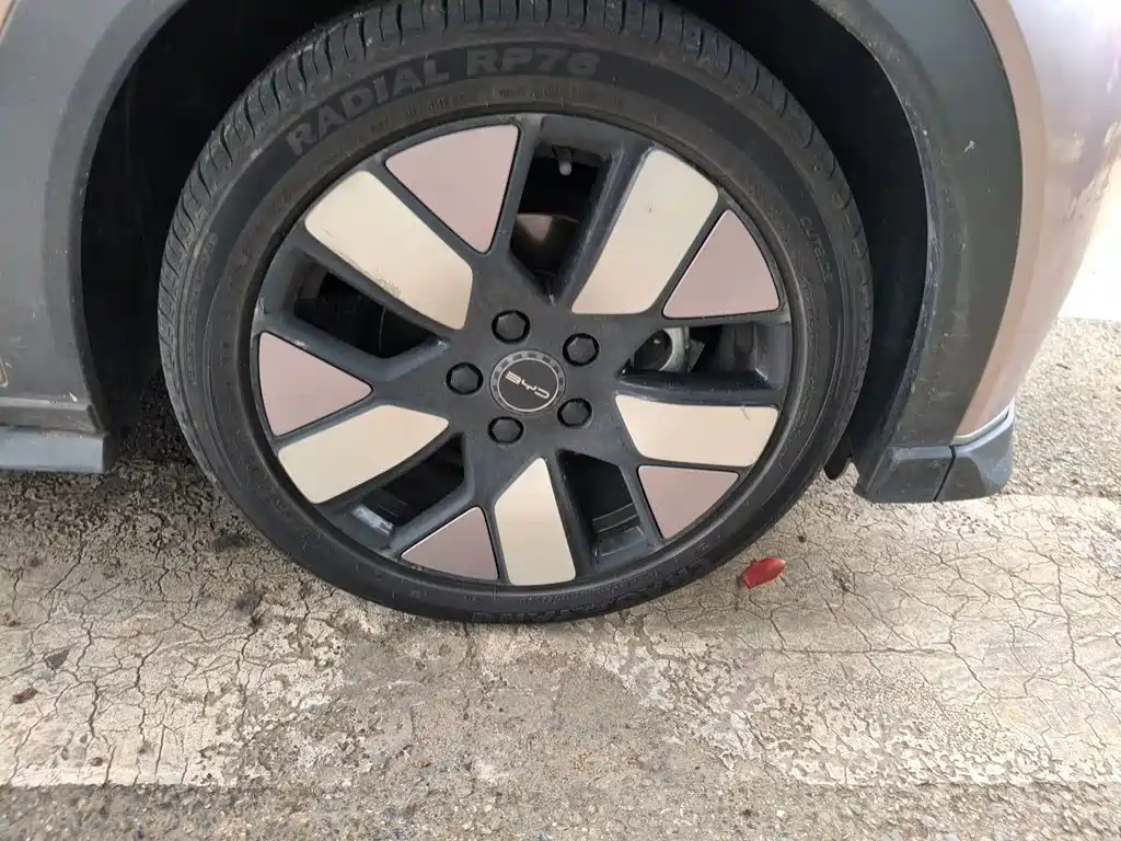 BYD Dolphin 2021 2021 401km Knight Edition