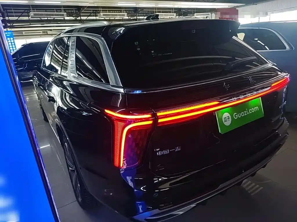 Hongqi E-HS9 2022 660km Qi Chang Edition (6-seater) фото 5