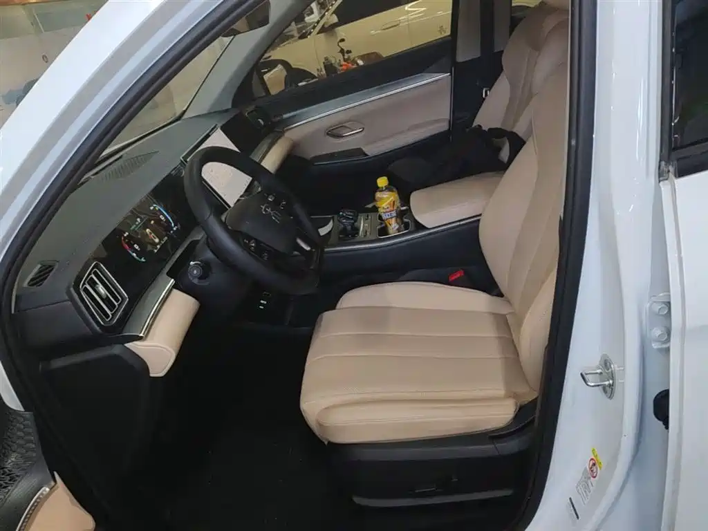 BYD Song Pro New Energy 2025 2nd Gen DM-i 75KM Leading Type фото 14