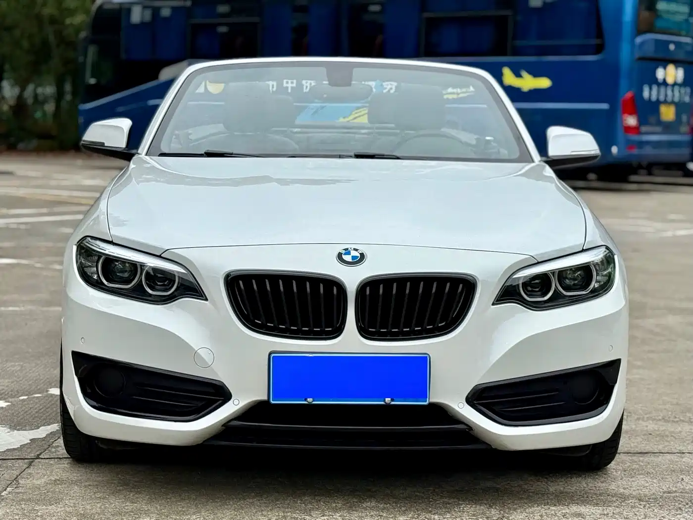 BMW 2 Series (Import) 2019 225i Convertible Coupe Sport Design Package фото 2