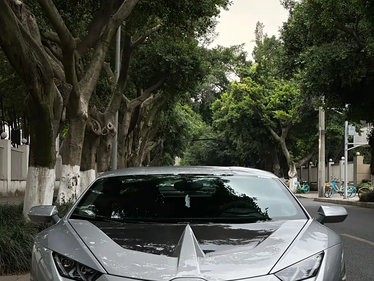 Lamborghini Huracán 2016 Huracán RWD Coupe фото 24
