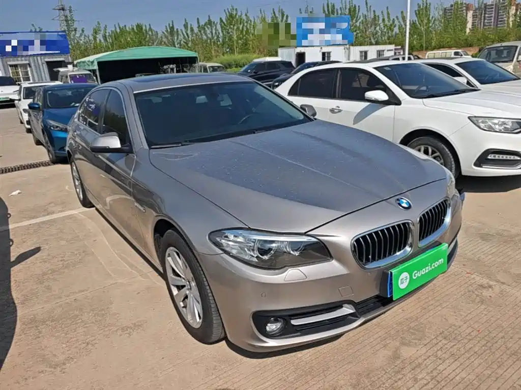 BMW 5 Series 2014 520Li Elegance фото 4