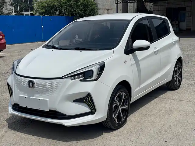  Changan Changan Benben E-Star 2020 Heartjoy Edition NCM