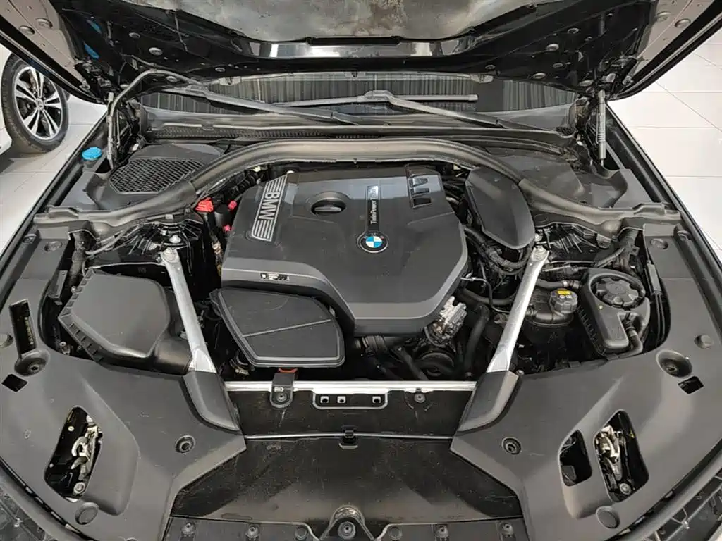 BMW 5 Series 2019 Facelift 525Li M Sport Package фото 20