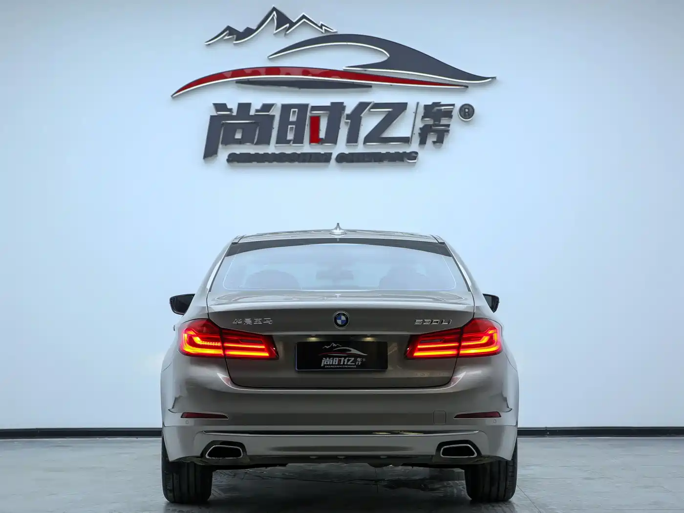 BMW 5 Series 2019 530Li Leading Luxury Package фото 7