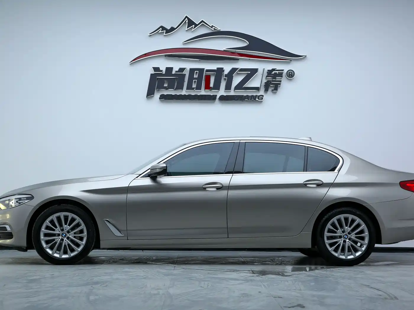 BMW 5 Series 2019 530Li Leading Luxury Package фото 4