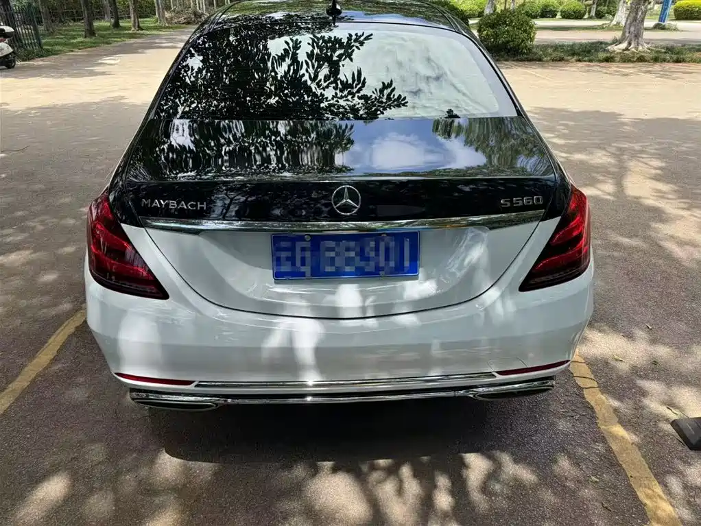 Mercedes-Benz Maybach S-Class 2020 S 450 4MATIC Collector's Edition фото 3