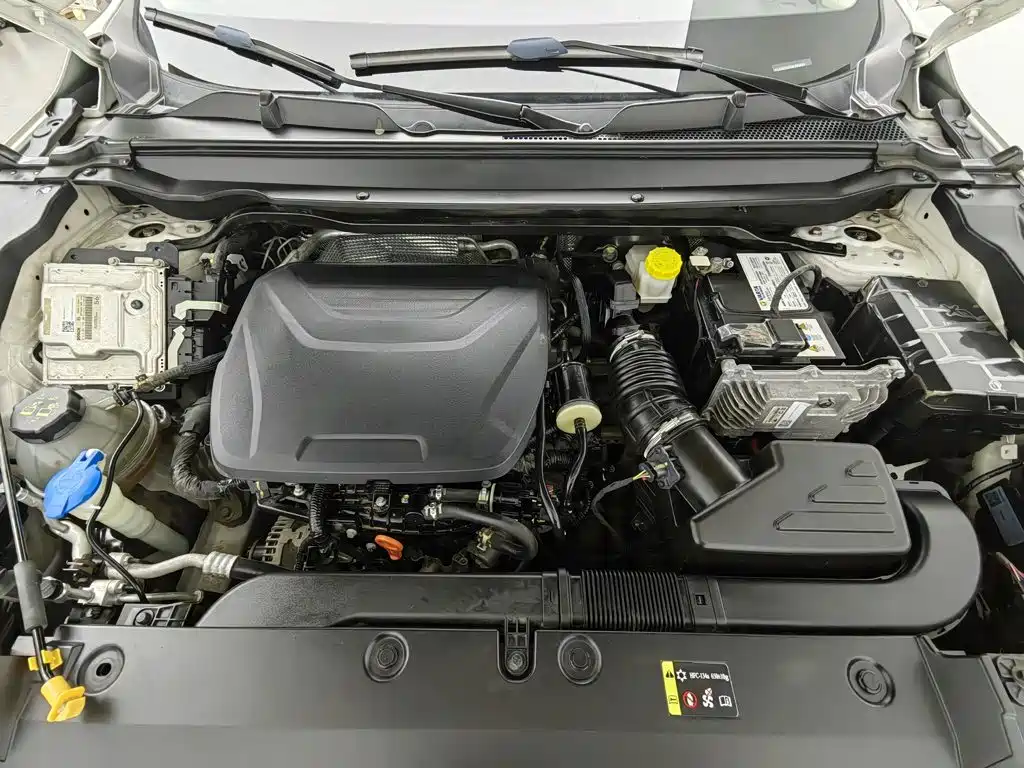 Haval Chitu 2021 2021 Turbo Edition 1.5T Golden Rabbit