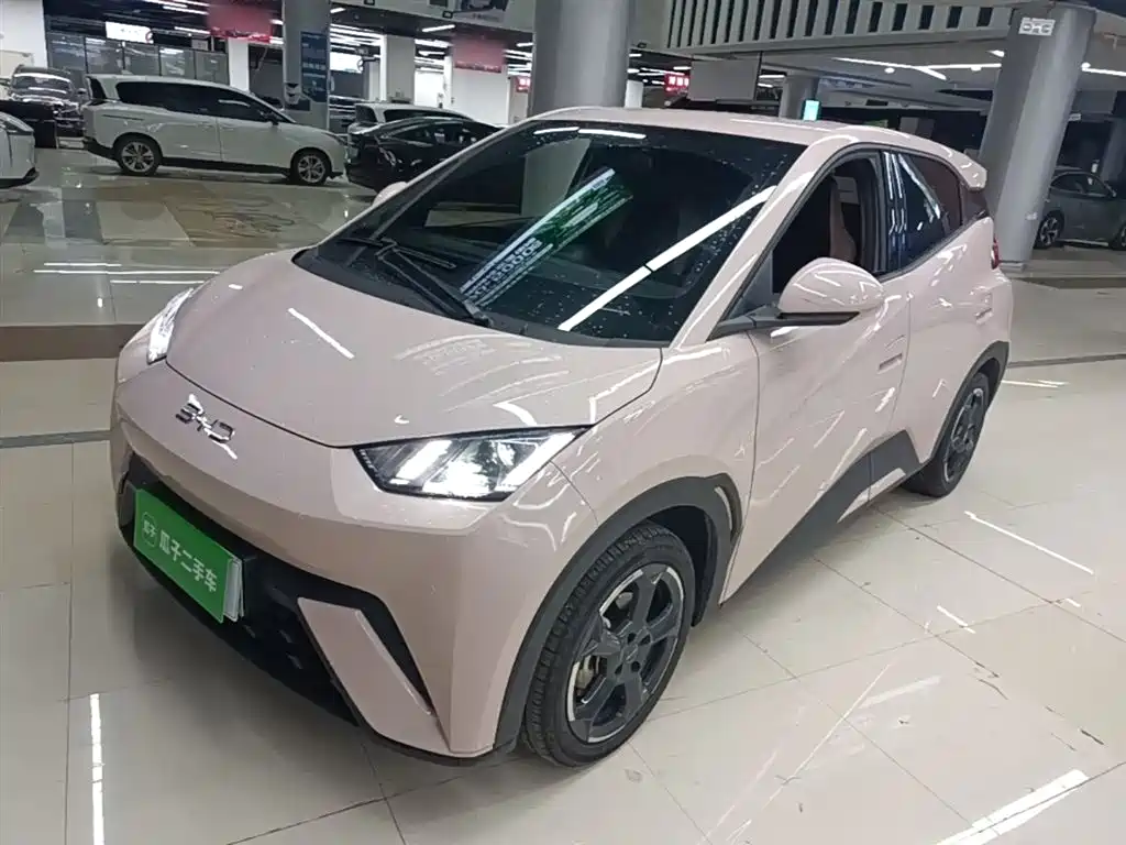 BYD Seagull 2023 Freedom Edition фото 2