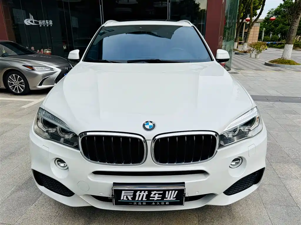 BMW X5 (Import) 2017 xDrive35i M Sport фото 3