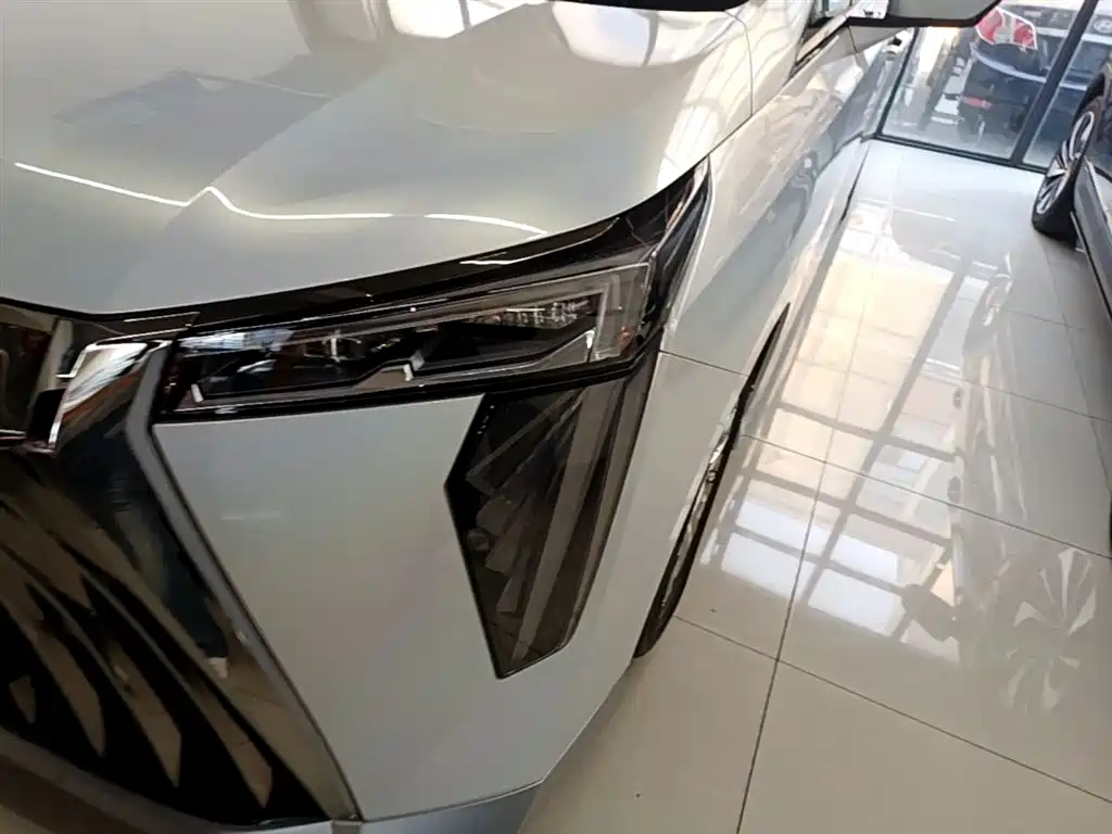 GAC Trumpchi Trumpchi M8 2024 Patriarch Series 400T Ultimate Edition фото 23