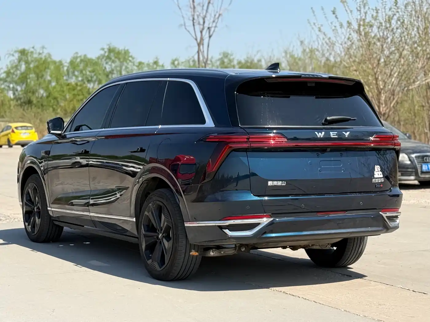 WEI PAI WEI BRAND BLUE MOUNTAIN