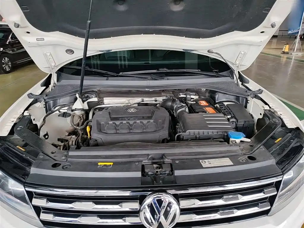 Volkswagen Tiguan L 2019 Facelift 330TSI Auto 2WD Panorama Comfort China VI фото 20