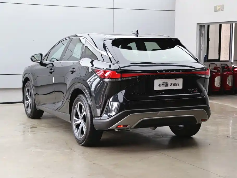 Фото 31 - Lexus RX