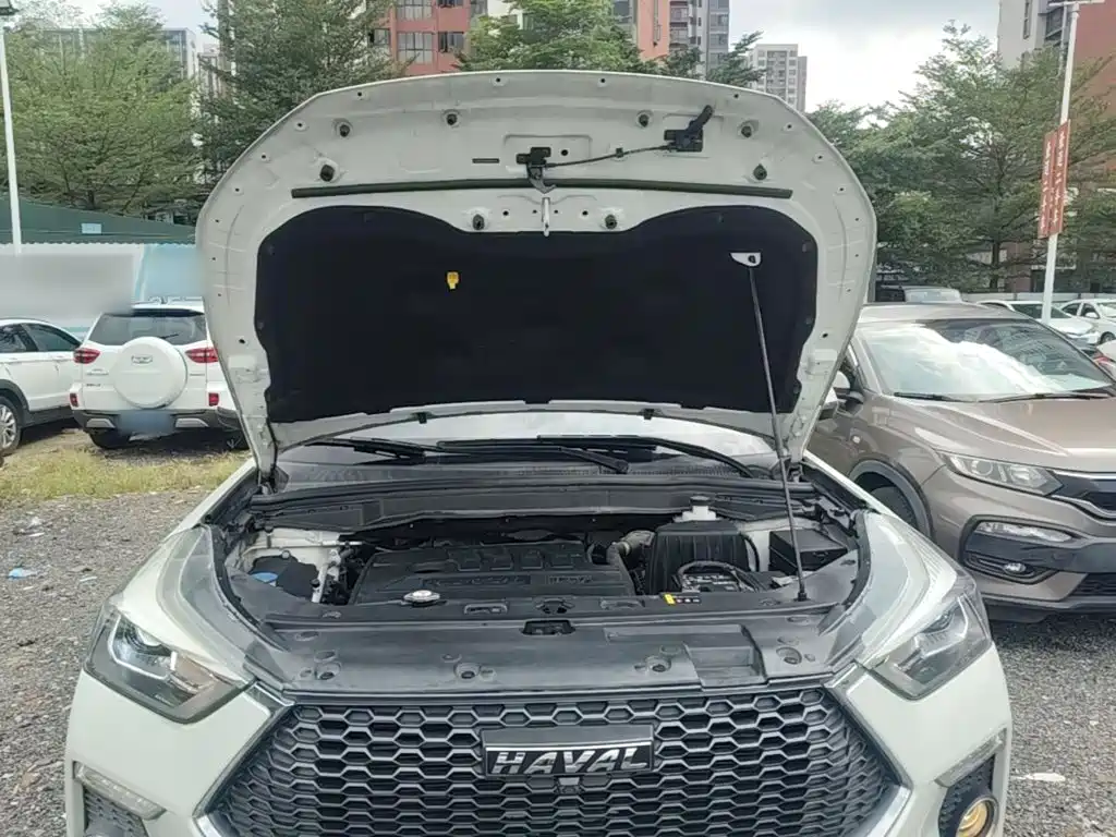 Haval H6 Coupe 2020 2020 Smart Connect Edition 1.5T Automatic 2WD Elite