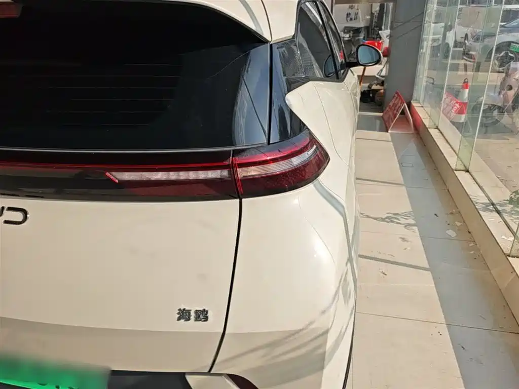 BYD Seagull 2025 305km Vitality фото 8