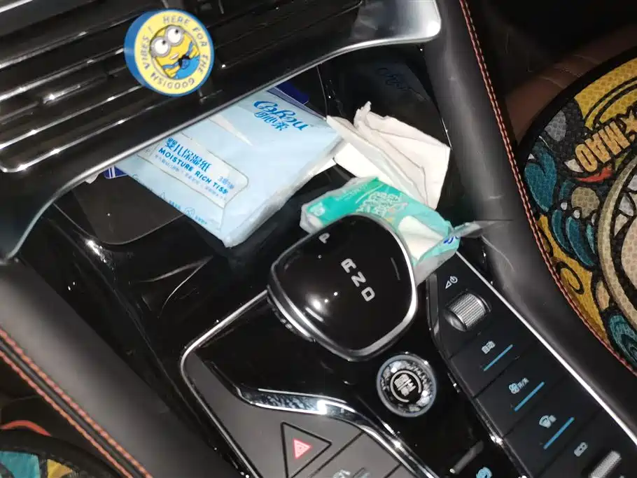 BYD Song PLUS 2020 1.5T Automatic Premium фото 16