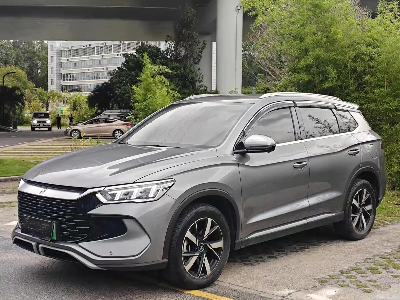 BYD Song Pro New Energy 2024 Glory Edition DM-i 71KM Pilot