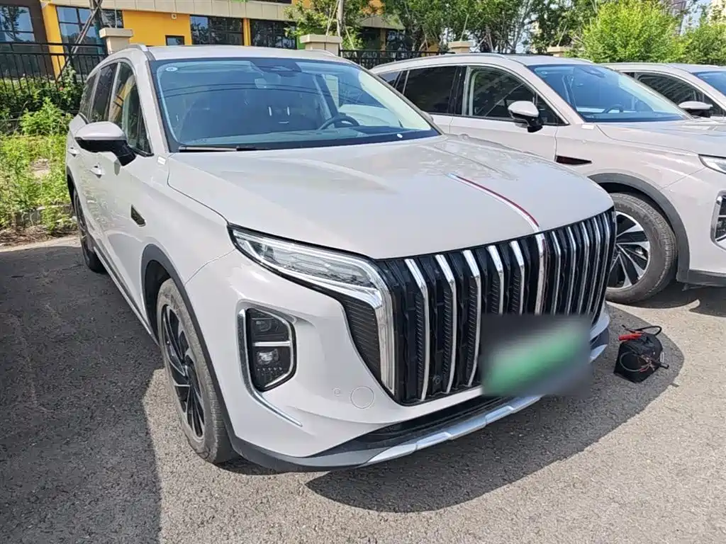 Hongqi HS7 PHEV 2024 2.0T PHEV AWD Flagship 6-Seater фото 4