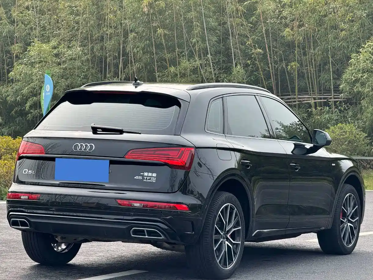 Audi Q5L 2025 45 TFSI Luxury Dynamic фото 6