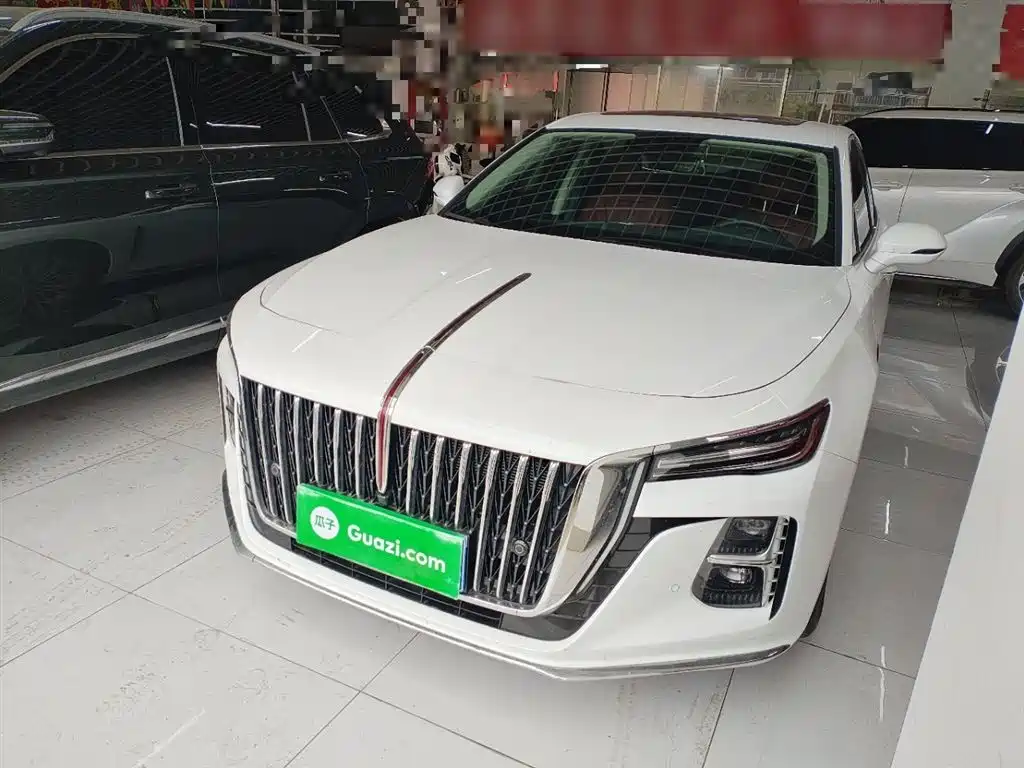 Hongqi H5 2024 2.0T Automatic Smart Connect Flag Enjoy Edition