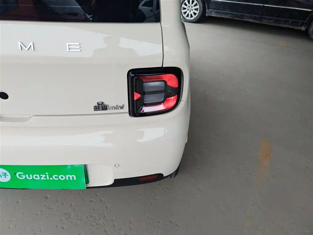 Geely Galaxy Panda 2025 Panda mini 210km Vitality Bear фото 8
