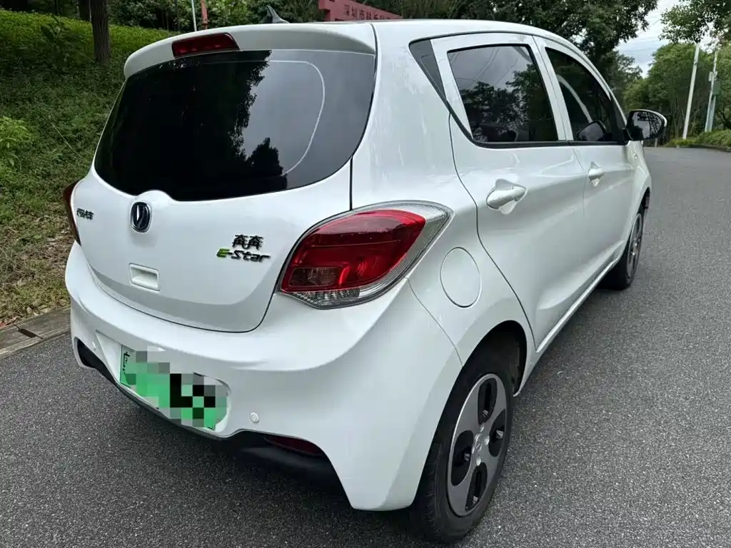 Changan Benben E-Star 2021 2022 National Edition Colorful Limited (Fast Charging) LFP