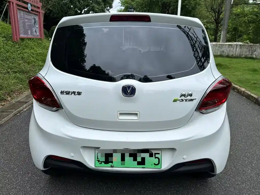 Changan Benben E-Star 2021 2022 National Edition Colorful Limited (Fast Charging) LFP