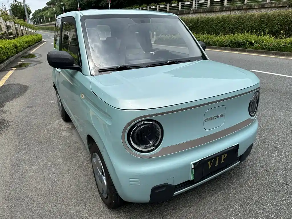 Geely Galaxy Panda 2023 2023 Panda Mini 200km Endurance Bear