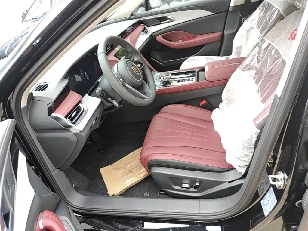 Hongqi H5 2025 2.0T Automatic Qixiang 500,000 Units Commemorative Edition фото 15