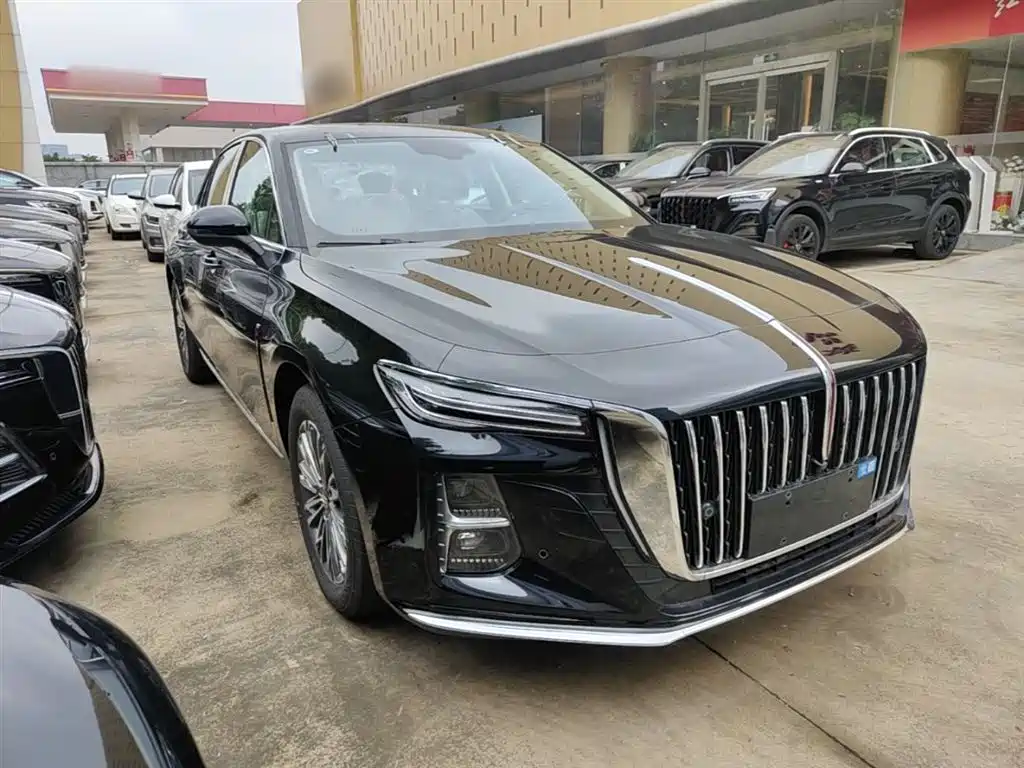 Hongqi H5 2025 2.0T Automatic Qixiang 500,000 Units Commemorative Edition фото 4