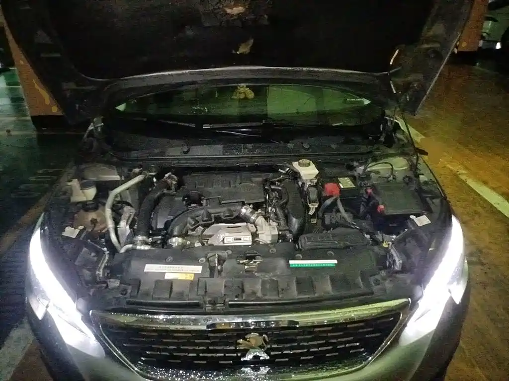 Peugeot 308 2016 350THP Automatic Premium фото 11