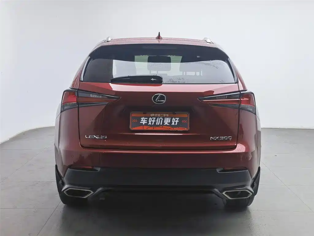 Lexus NX 2018 Model 300 FWD Fengxing Edition фото 4