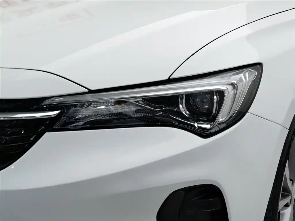 BUICK WEILANG