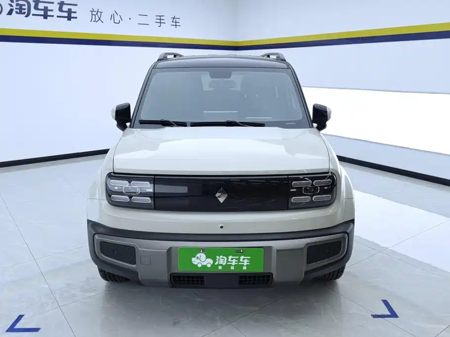 Baojun Yueye Plus 2025 2026 301km Flagship