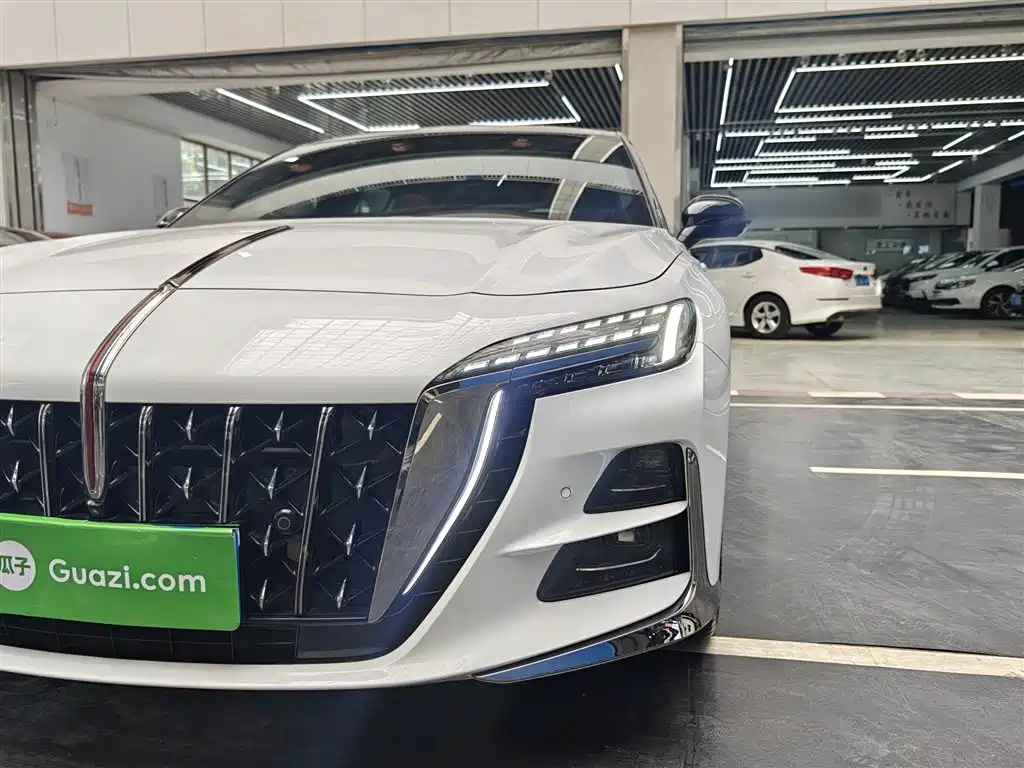 Hongqi H6 2024 Model 2.0T Fashion Edition фото 17