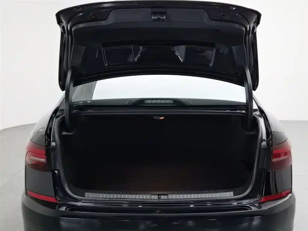 Volkswagen Passat New Energy 2020 430PHEV Hybrid Luxury (China VI) фото 16
