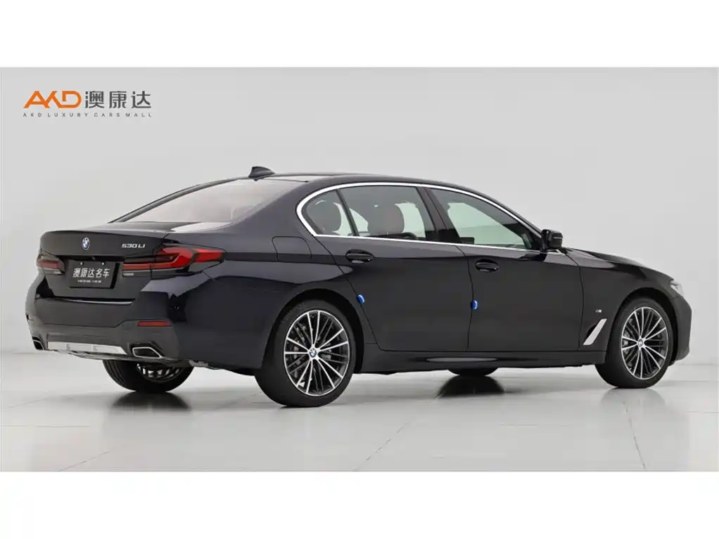 BMW 5 Series 2022 Facelift 530Li Leading Luxury Package фото 3
