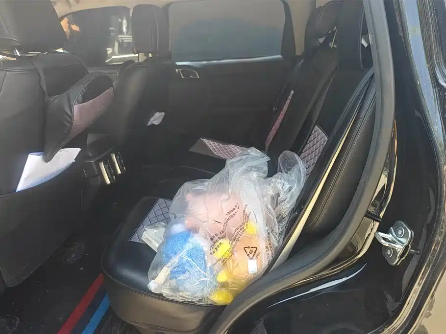 Haval Big Dog 2024 1.5T DCT Border Collie Edition фото 11
