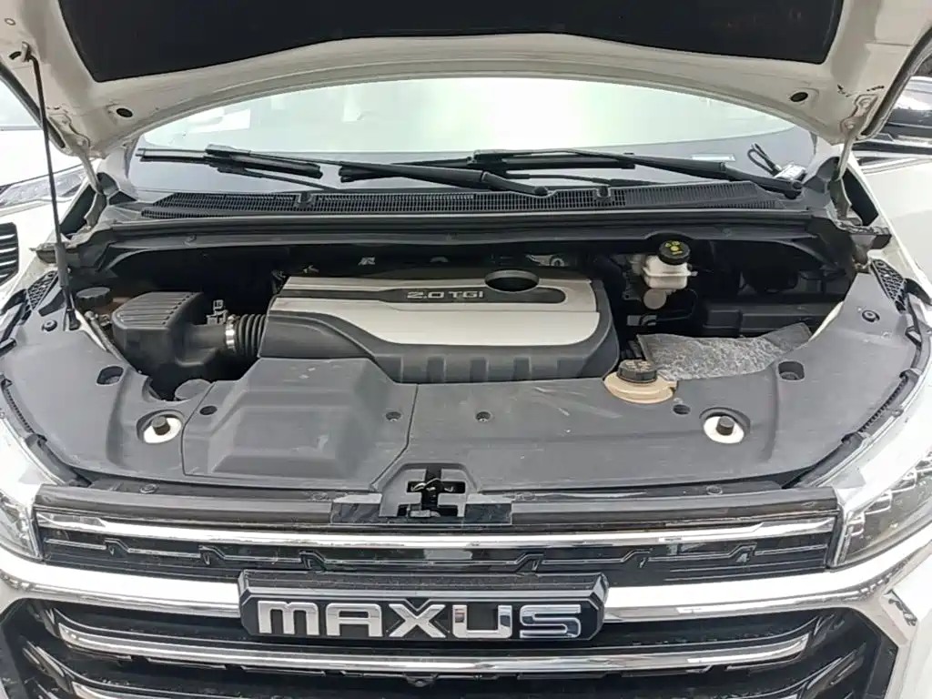 صورة 20 - Maxus G20