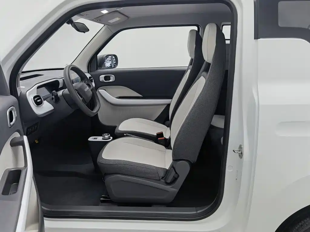 Geely Galaxy Panda 2026 2025 Panda mini 210km Vitality Bear