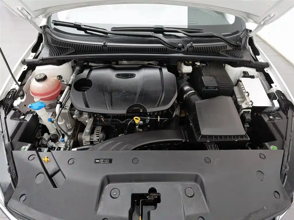 GEELY AUTOMOBILE BINRUI