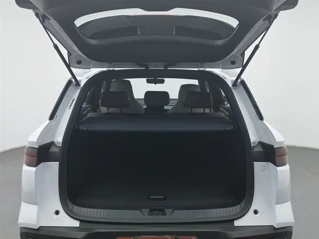 BYD SONGJIANG NEW ENERGY