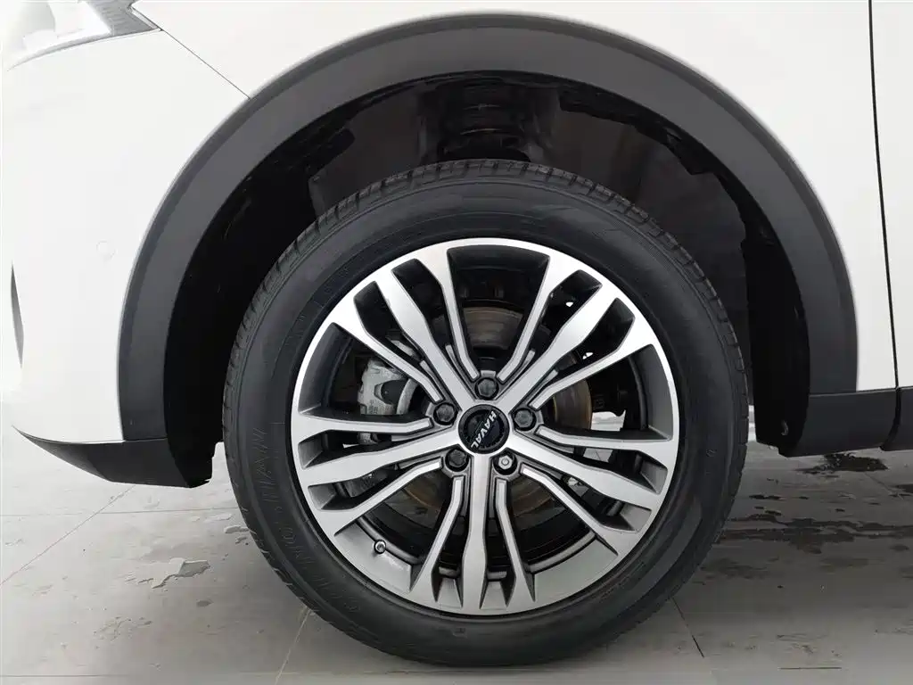 Haval F7 2021 2.0T AWD i-Joy фото 17