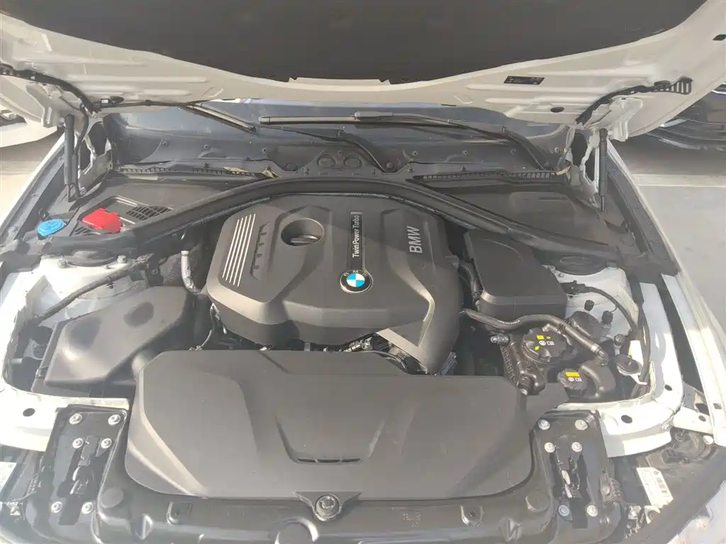 BMW 3 Series 2018 320Li Fashion Style фото 20