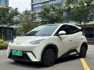 BYD Seagull