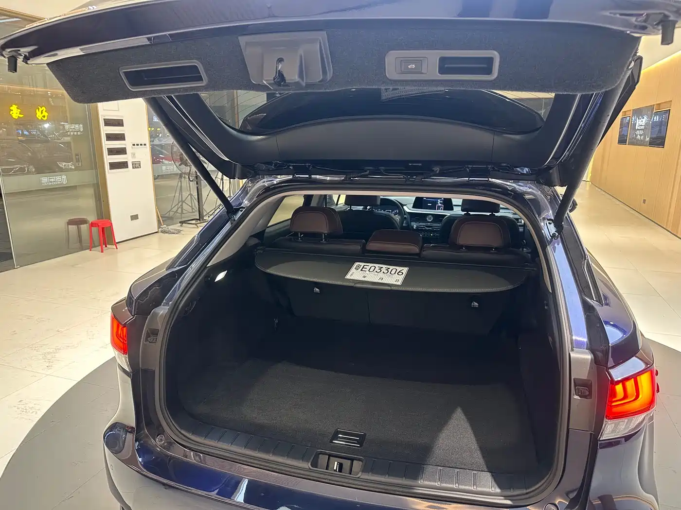 Lexus RX 2020 300 2WD Elite Edition China VI фото 12