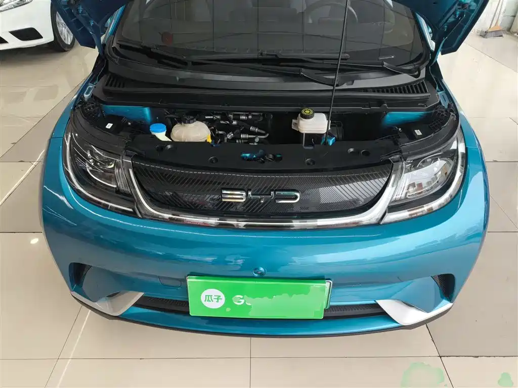 BYD Dolphin 2021 Model 405km Fashion Edition фото 11